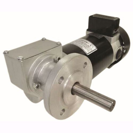 Worm Gear PMDC Motor