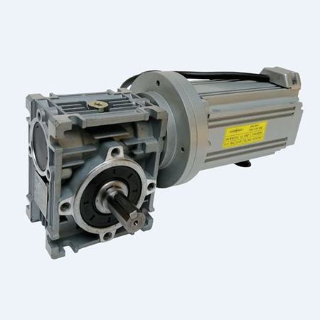 BLDC Worm Gear Motor